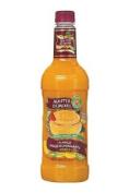 Master of Mixes - Mango Daiquiri & Margarita Mixer 0
